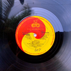 Ninaikka Therintha Maname Vinyl Record – Ilaiyaraaja Tamil LP