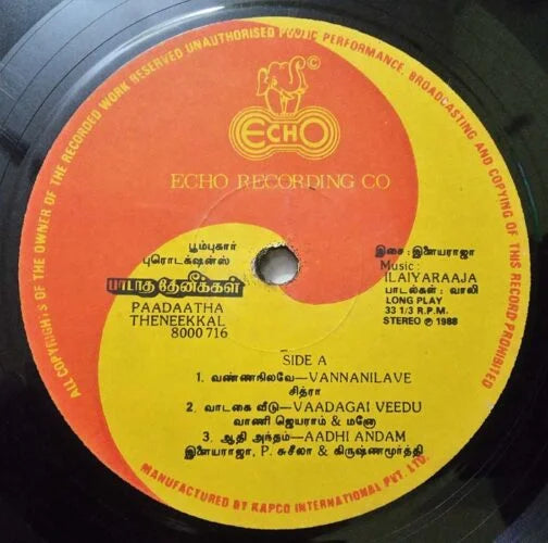 Paadatha Thenikkal Vinyl Record – Ilaiyaraaja Tamil Vinyl